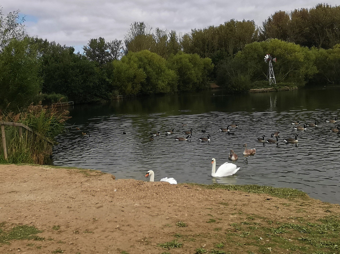 Hornchurch Country Park景点图片