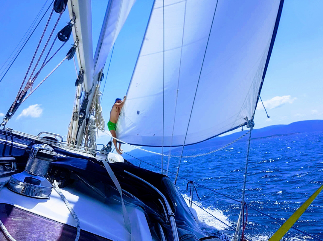 Daily Cruises Pelion-沃洛斯必去景点