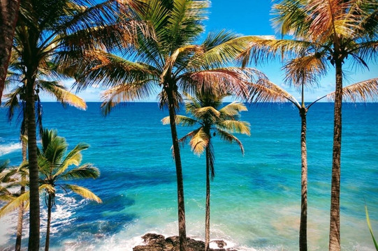 Itacaré para Elas-Itacare必去景点