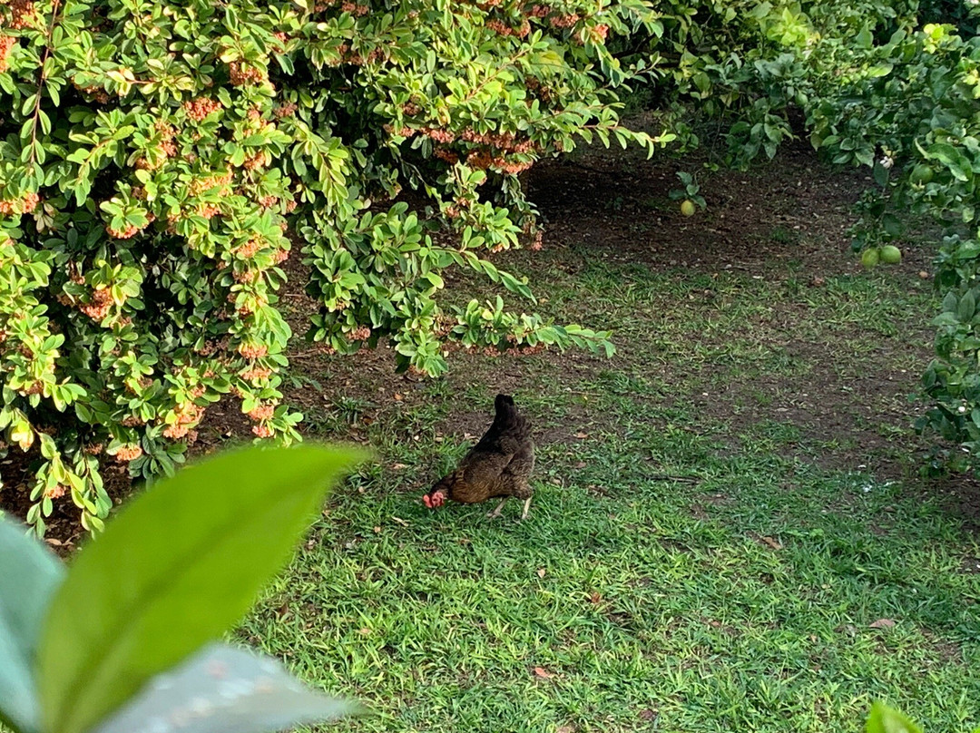 Logis Hotel El Moli de Siurana主图