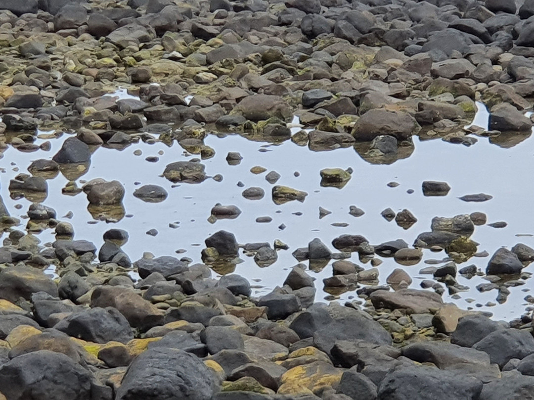 Burleigh Heads Rock Pools-伯利角必去景点