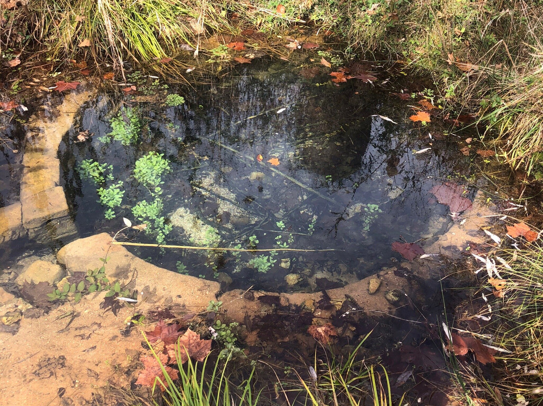 Echo Bluff State Park-Eminence必去景点