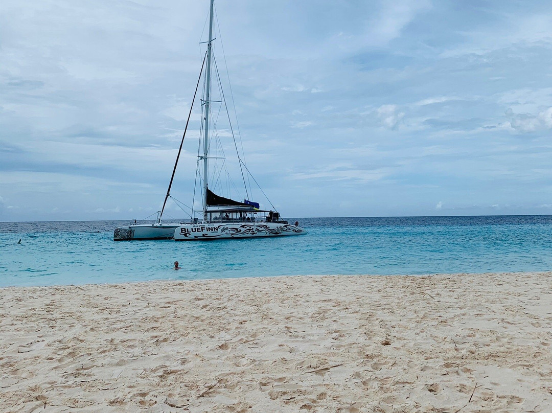 BlueFinn Charters-威廉斯塔德必去景点