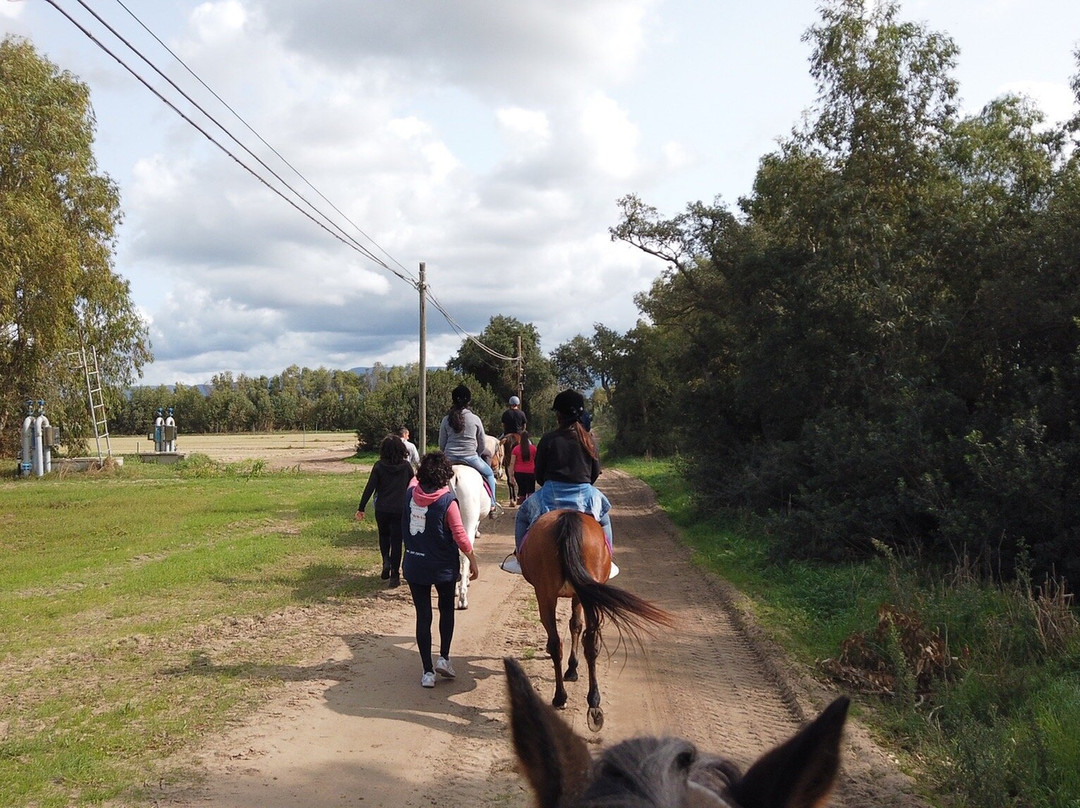 L'Oasi del Relax主图