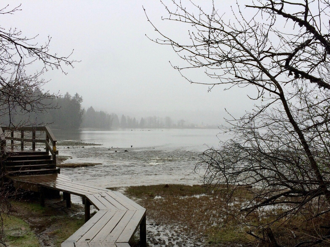 Shoreline Park-穆迪港必去景点