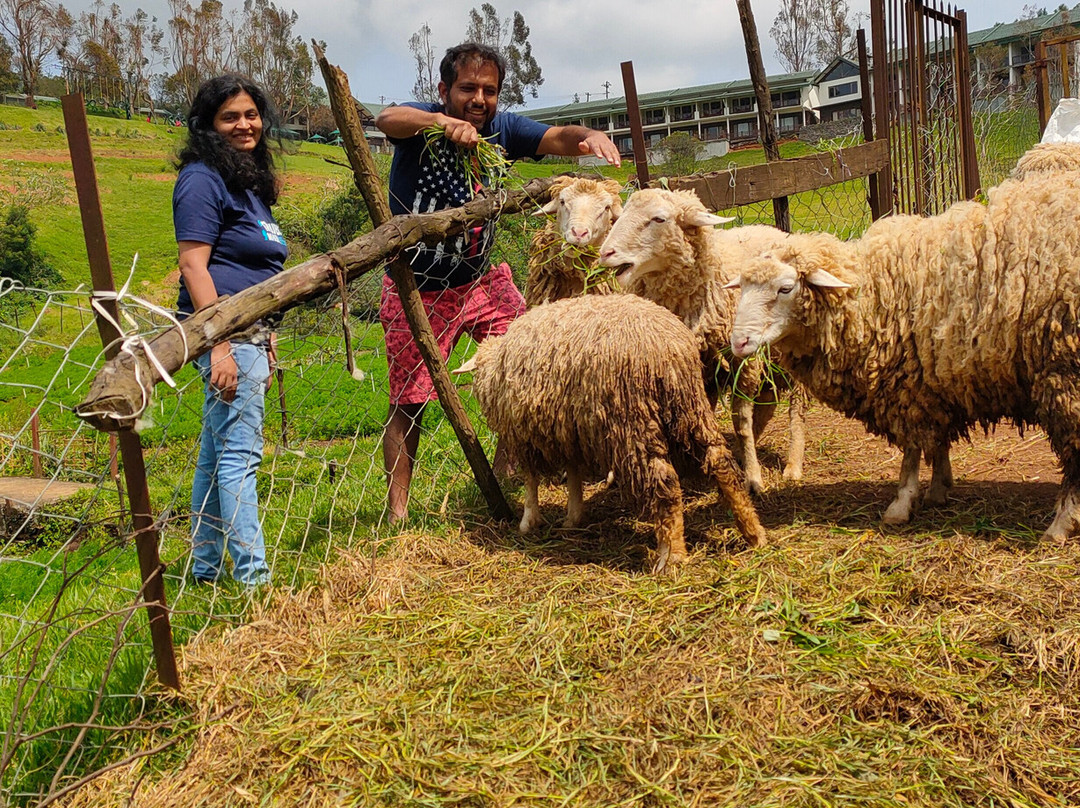 德斯蒂尼农场酒店主图