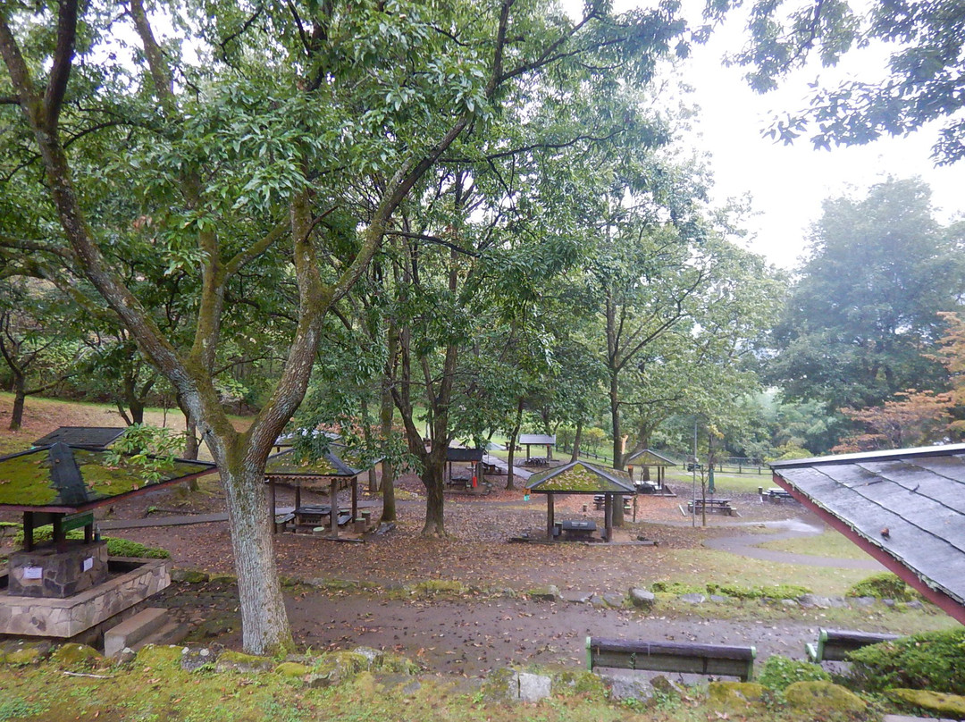 Nanasawa Forest Park景点图片
