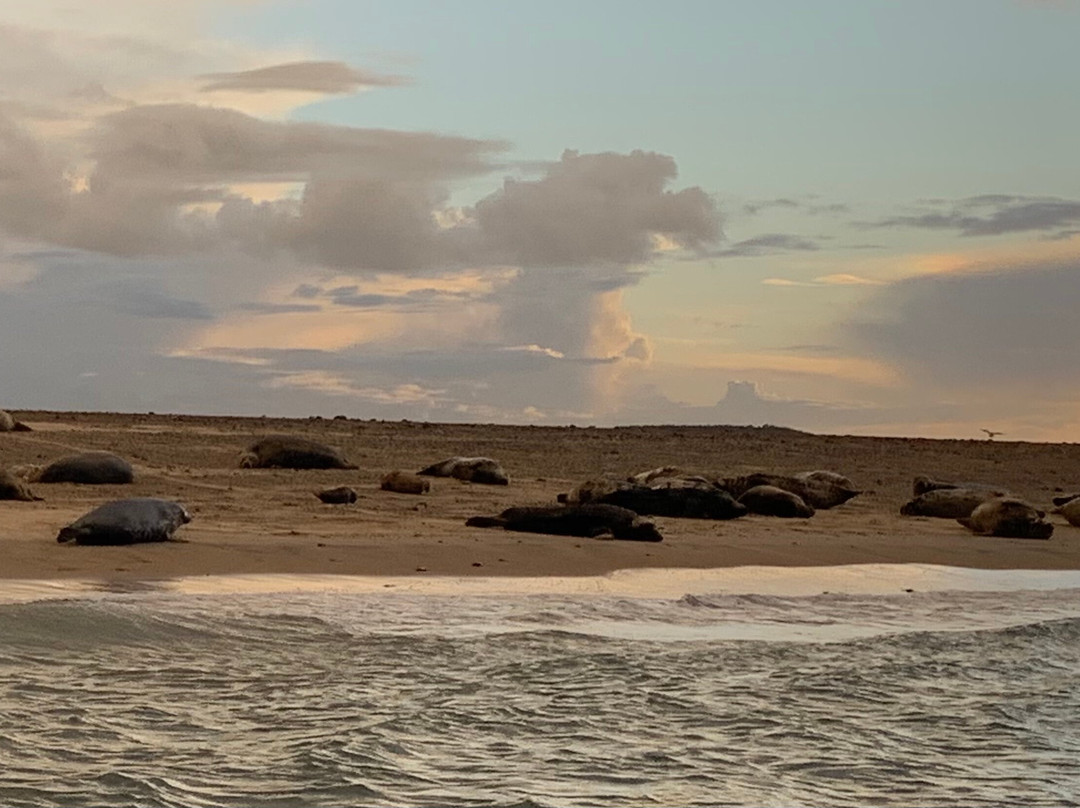 Ptarmigan Blakeney Point Seal Trips-布莱克尼必去景点