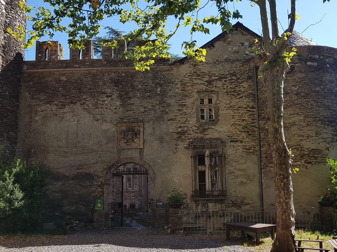 Château de Cambiaire主图