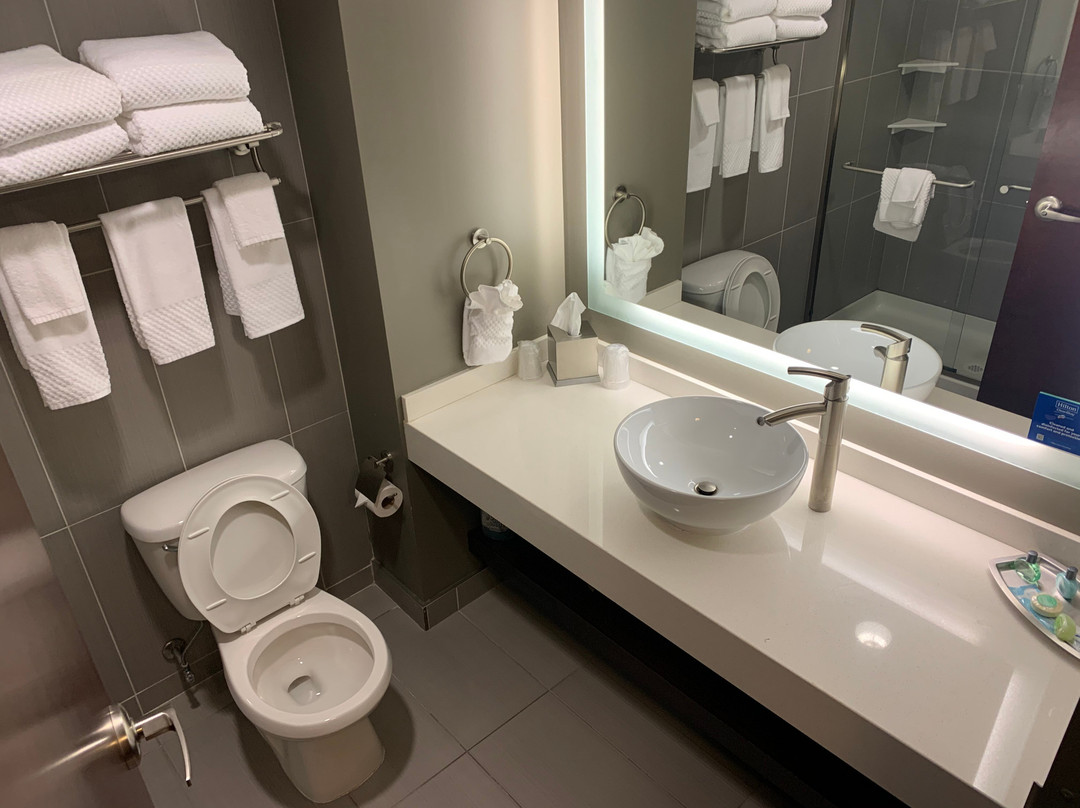 The Mosey Buffalo Williamsville Tapestry Collection Hilton主图