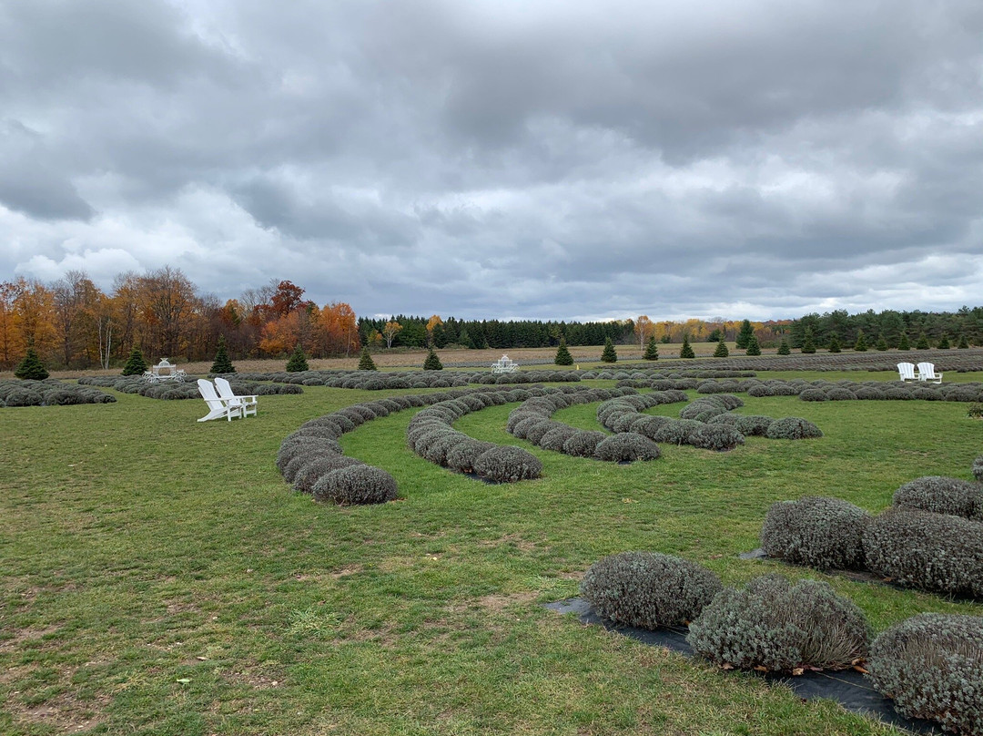 Fragrant Isle Lavender Farm & Shop-Washington Island必去景点