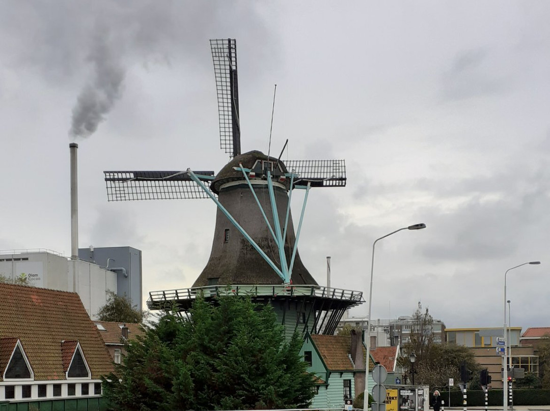 De Bleeke Dood Molen-赞代克必去景点