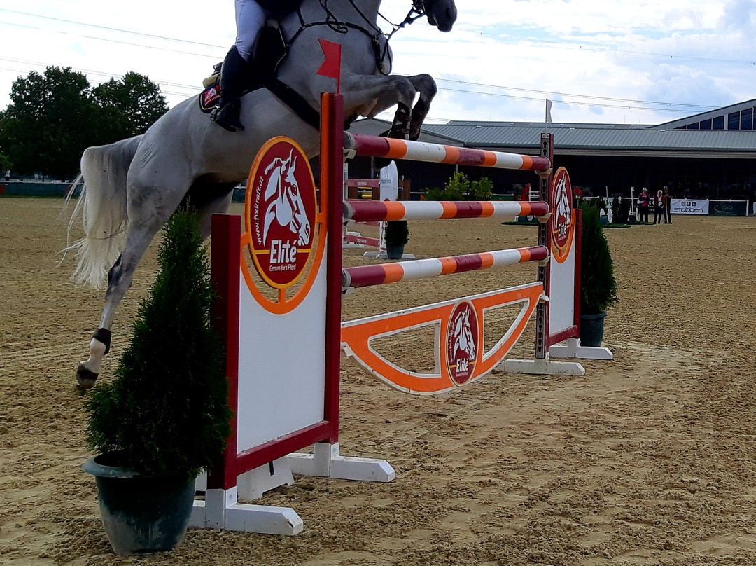 Magna Racino-Ebreichsdorf必去景点