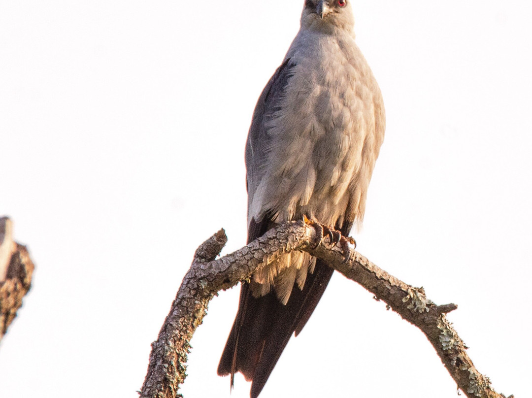 McCown Valley Park-Whitney必去景点
