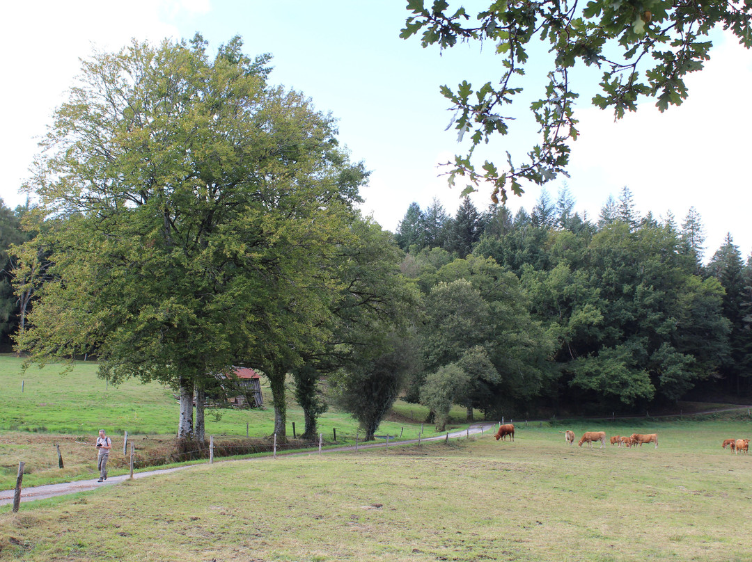 Les Hauts de Sousceyrac景点图片