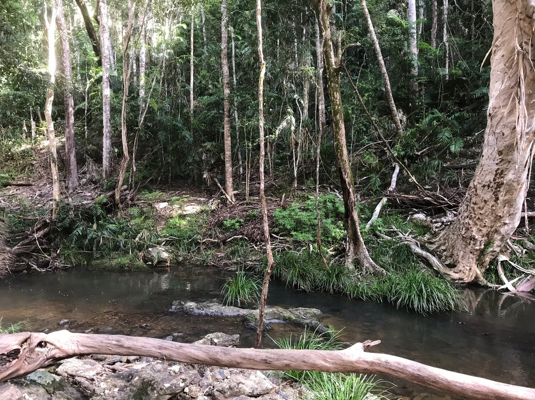 Wrights Lookout-库兰达必去景点