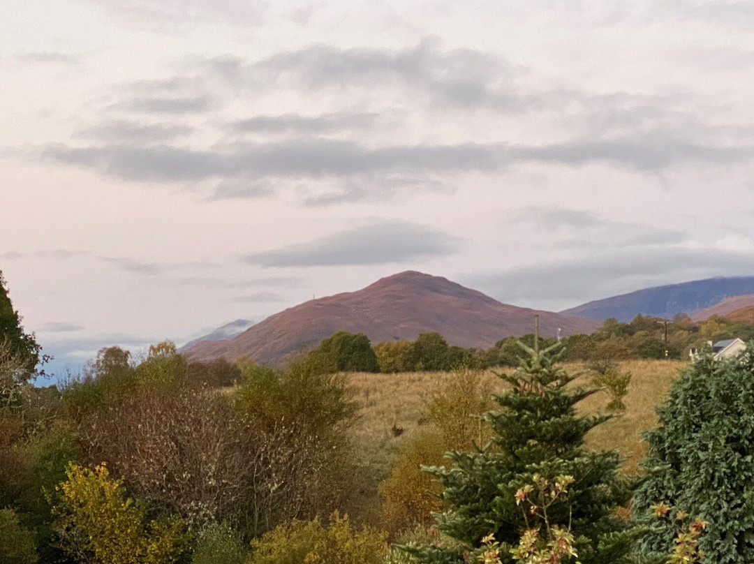 Cushendall House主图