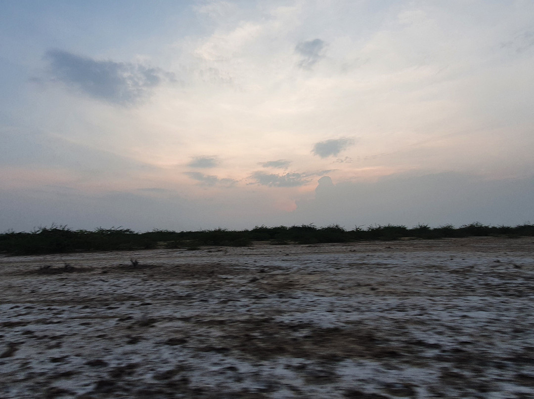 Little Rann of Kutch景点图片