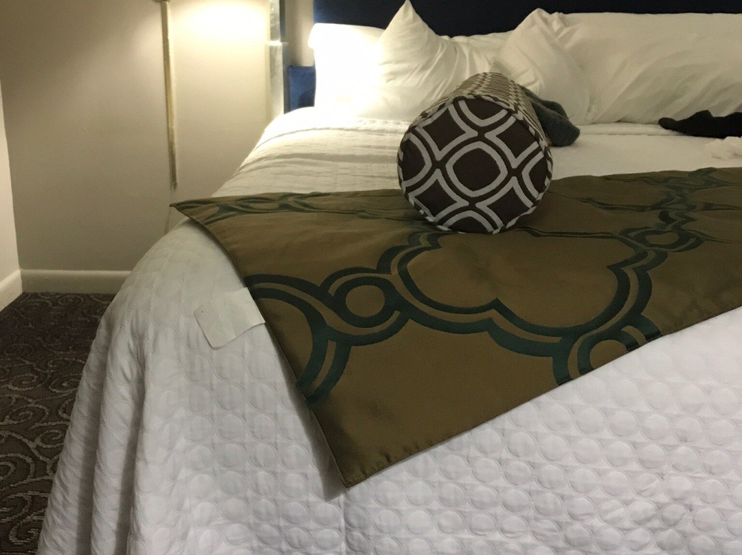 Twi-Lite Motel主图