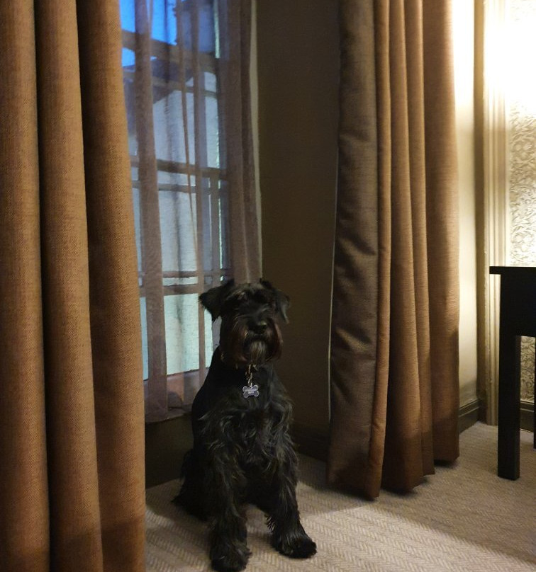 The Red Lion Inn主图