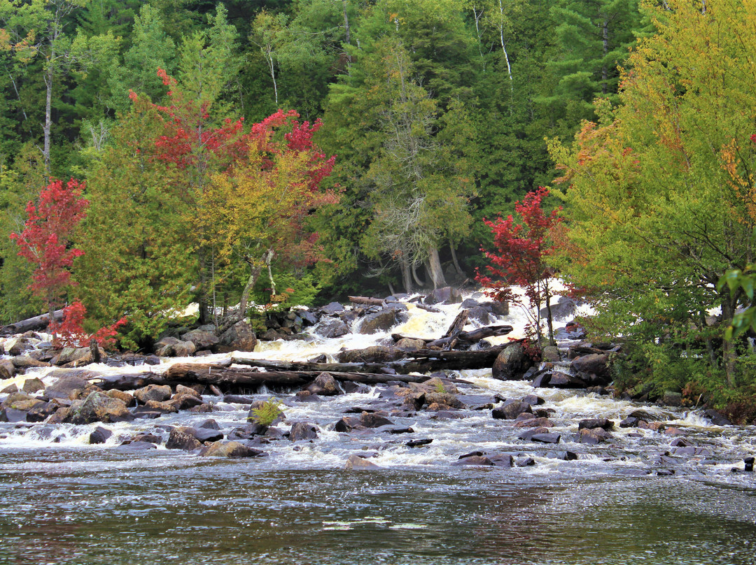 Oxtongue River-Ragged Falls Provincial Park景点图片