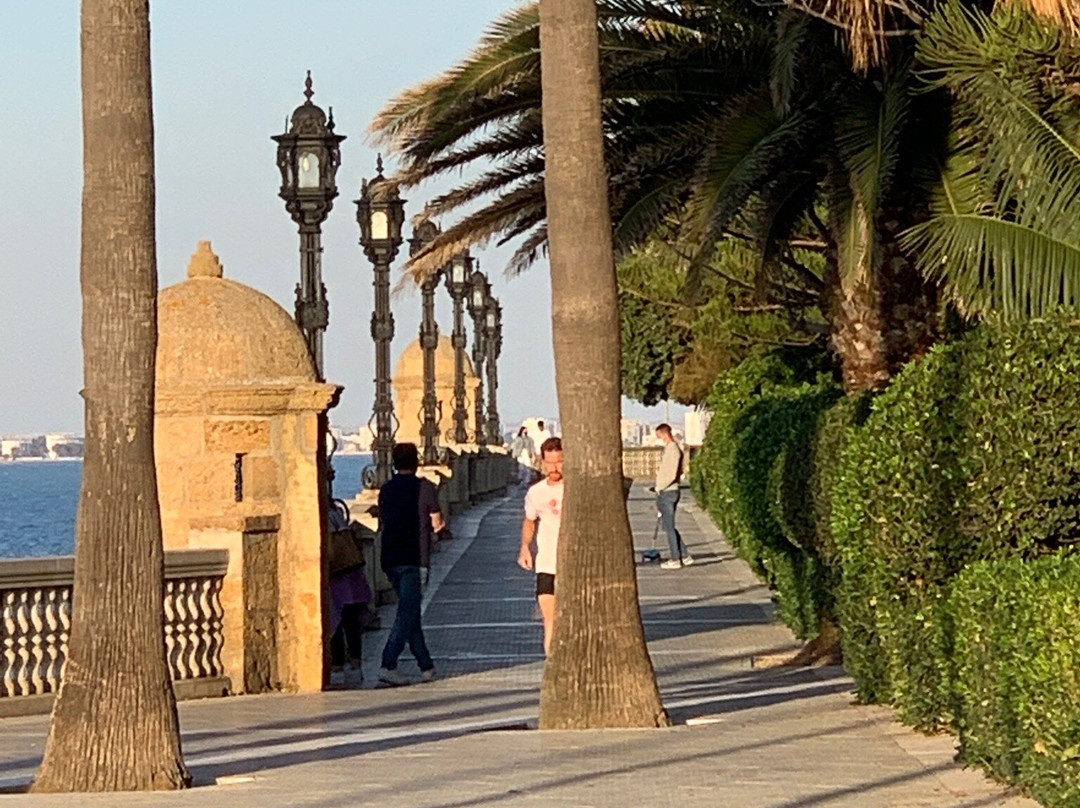 Paseo Canalejas景点图片