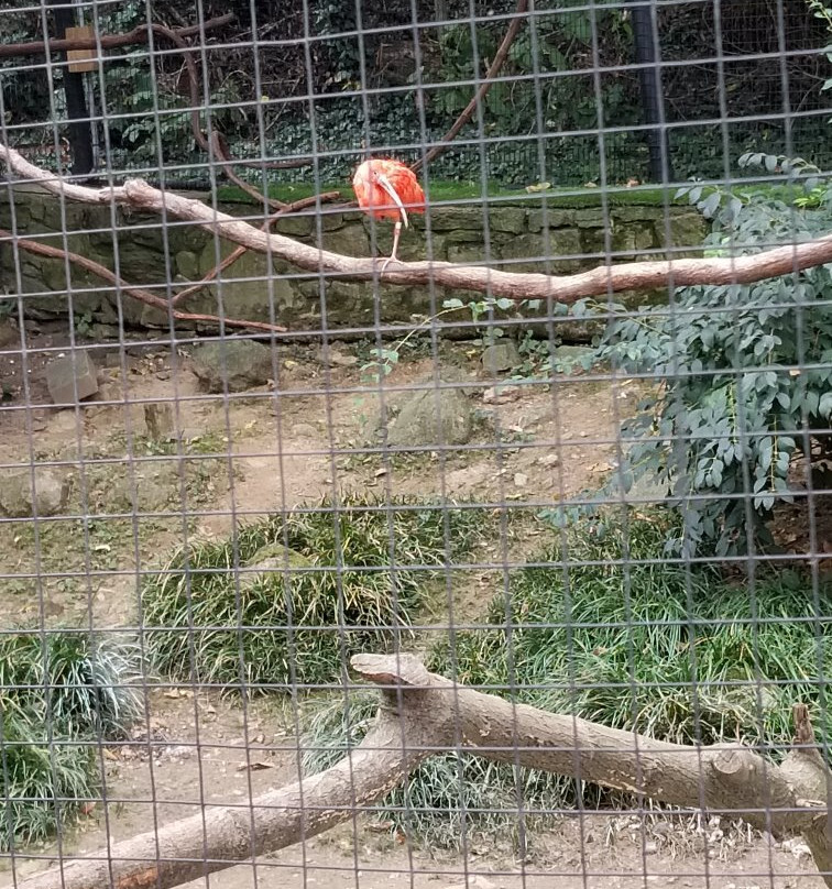 Brandywine Zoo-威尔明顿必去景点