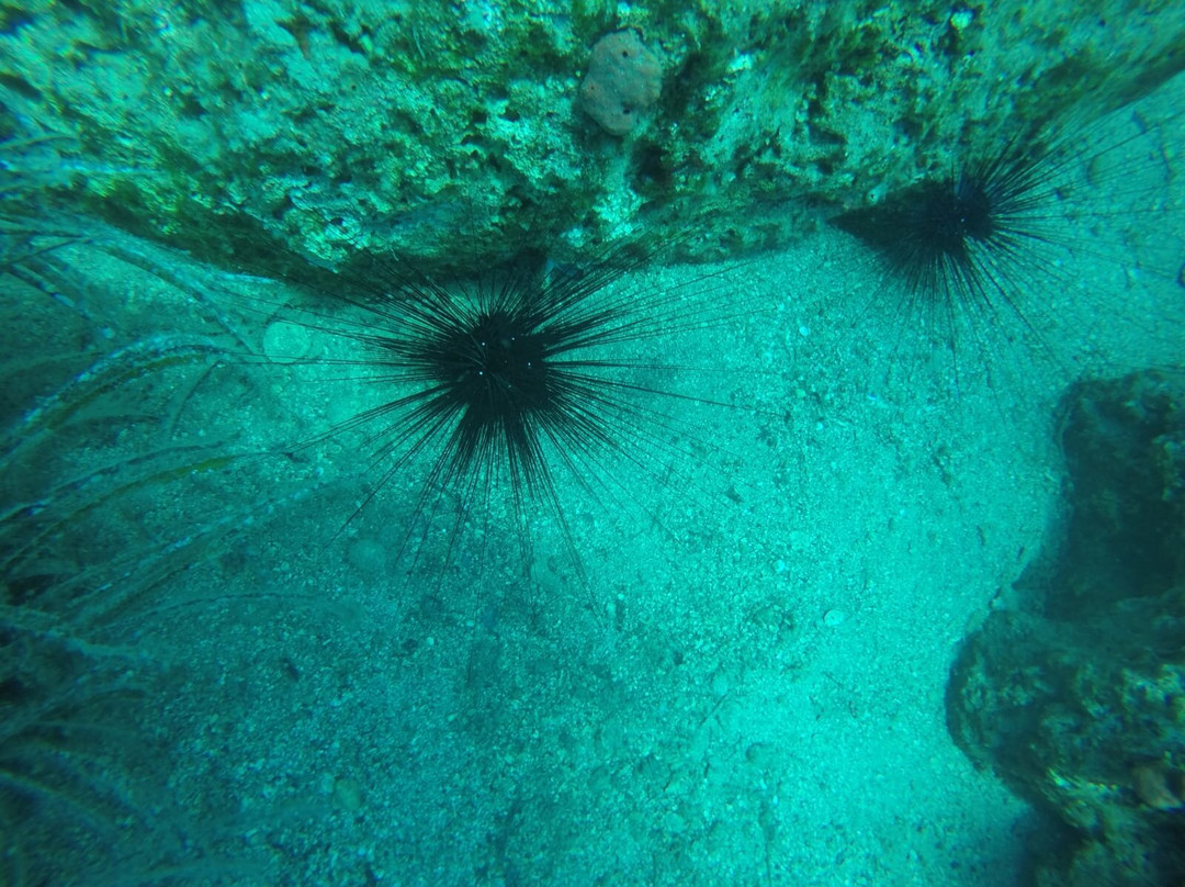 Marmaris Happy Divers-马尔马里斯必去景点