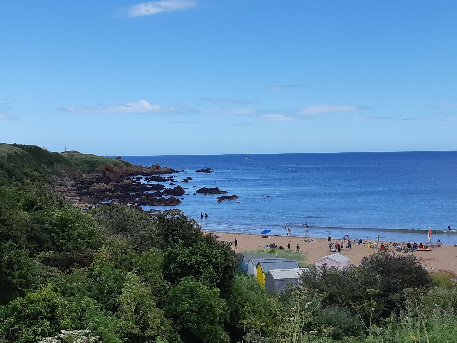 Coldingham Sands-Coldingham必去景点