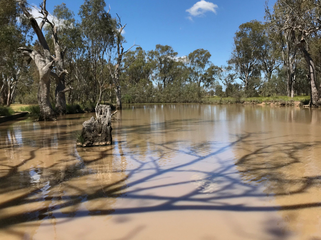 Tungamah Lions Park-Tungamah必去景点