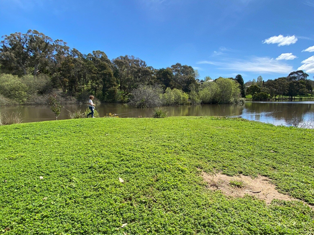 Wombat Flat Mineral Spring-戴尔斯福特必去景点