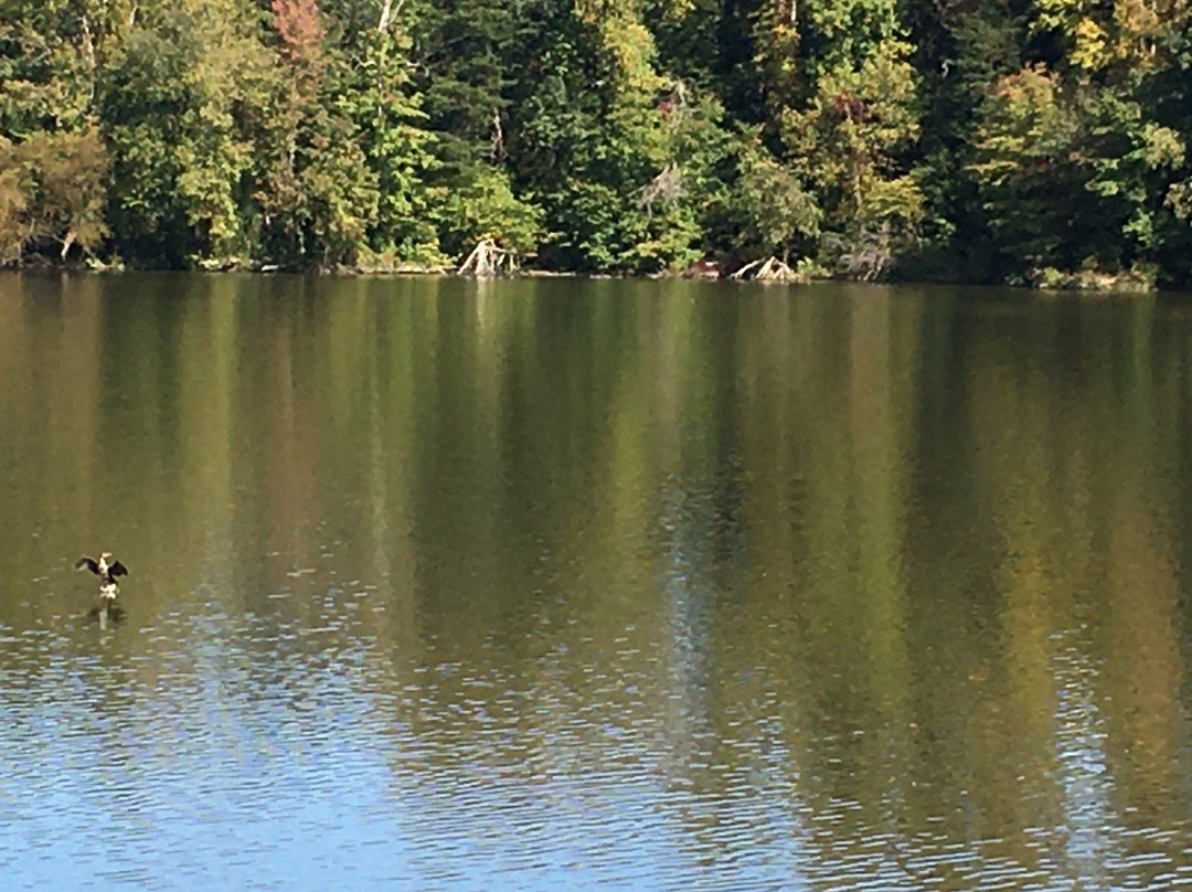 Lake Accotink Park景点图片