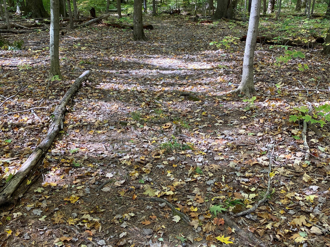 Burton Wetlands Nature Preserve-Burton必去景点