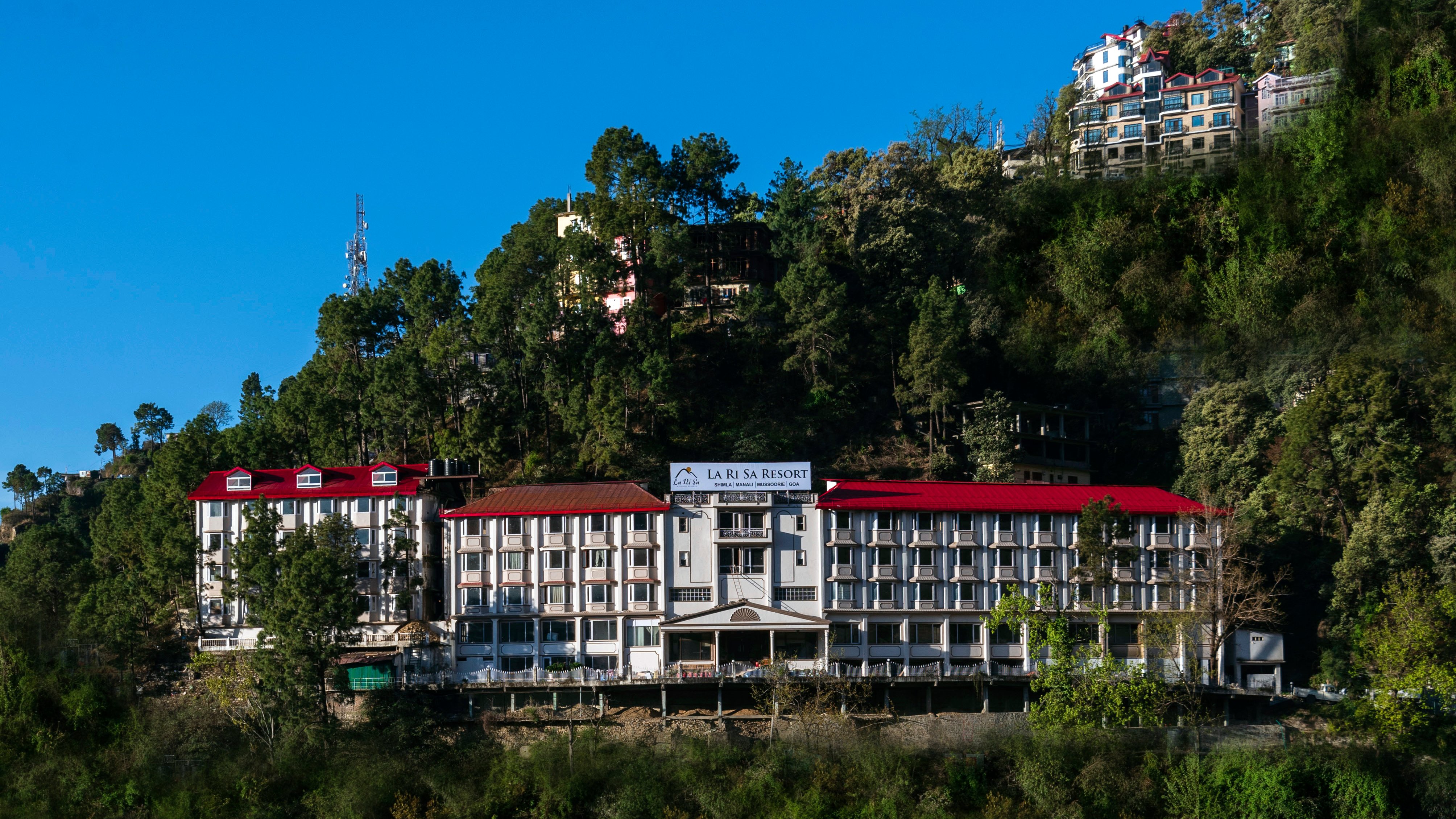 8fold  By Larisa, Shimla-官方