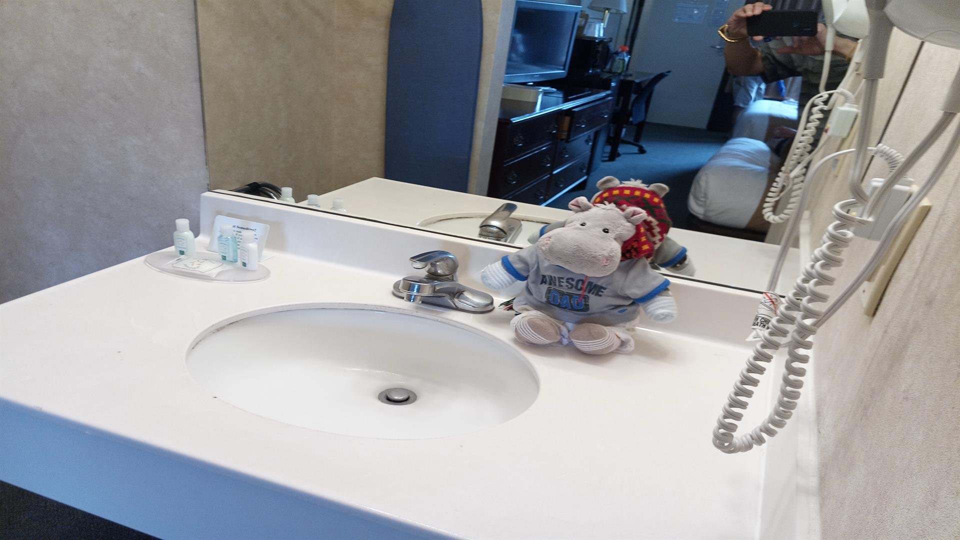 泰森斯角康福特茵酒店-浴室