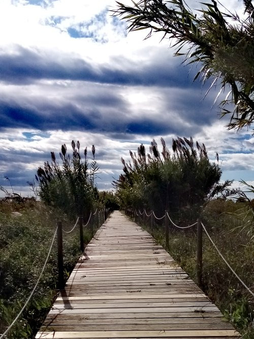 Delta del Llobregat-埃尔普拉特德略夫雷加特必去景点
