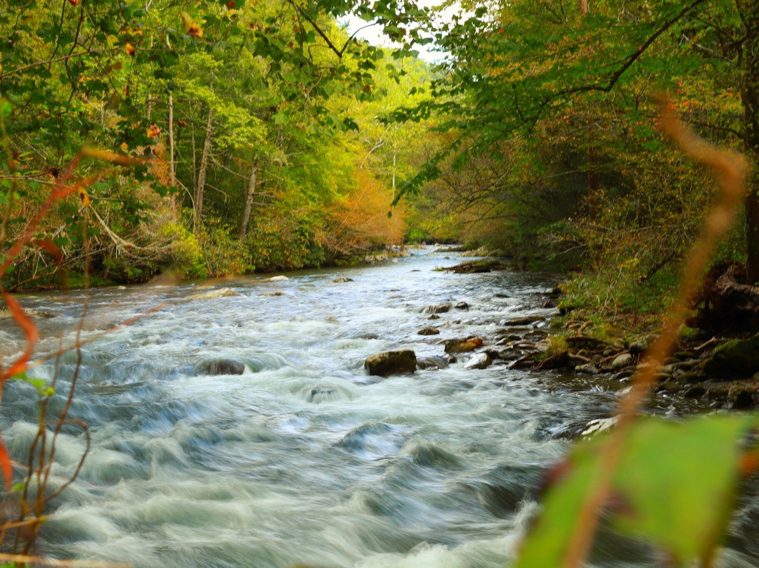 Little River Road-大雾山国家公园必去景点