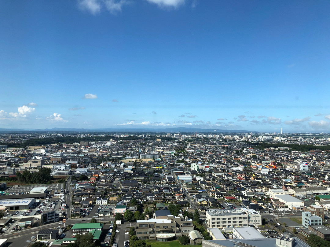Ibaraki Prefectural Government Observation Deck-水户市必去景点