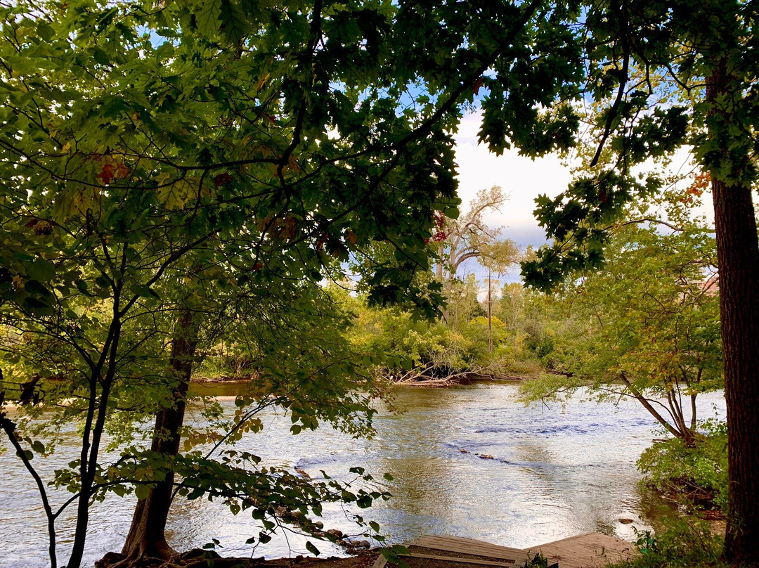 Nichols Arboretum-安娜堡必去景点