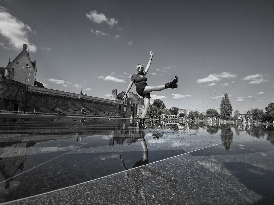 Le Miroir d'Eau景点图片