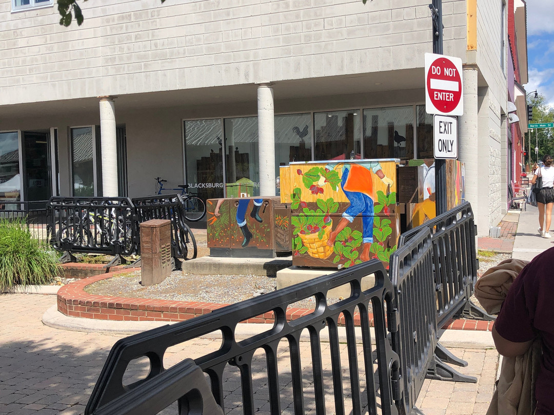 Blacksburg Farmers Market-布莱克斯堡必去景点