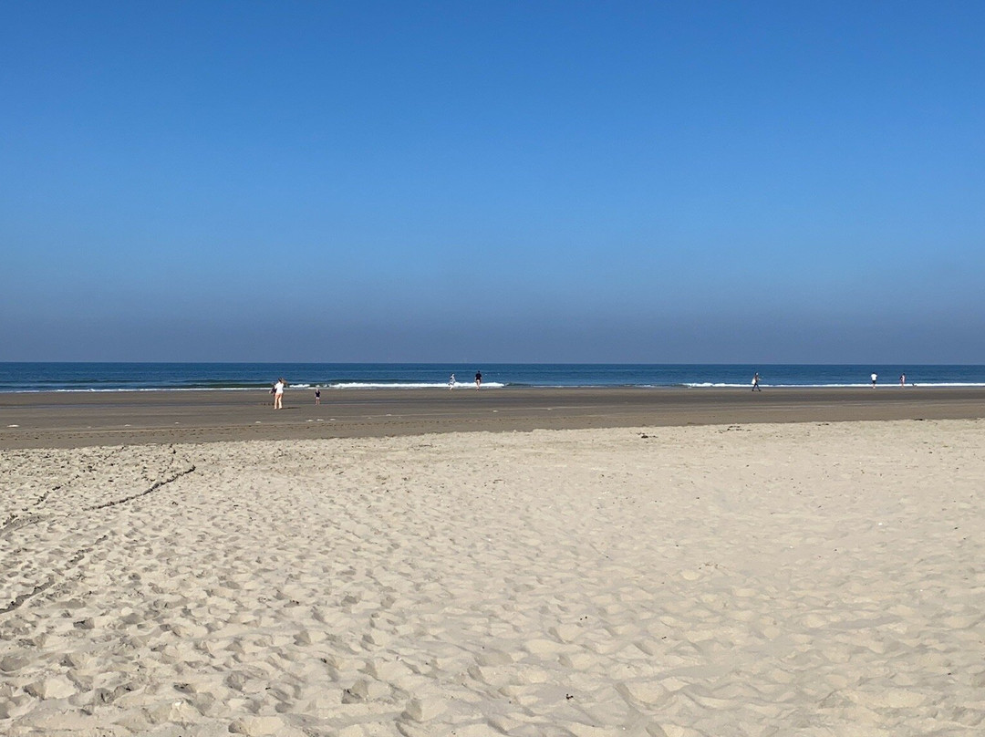 Strand van Wijk aan Zee-Wijk aan Zee必去景点
