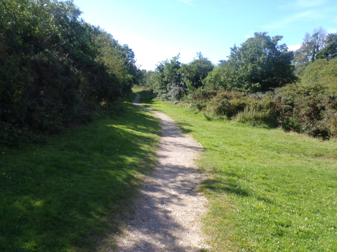 Tuckingmill Valley Park-Camborne必去景点