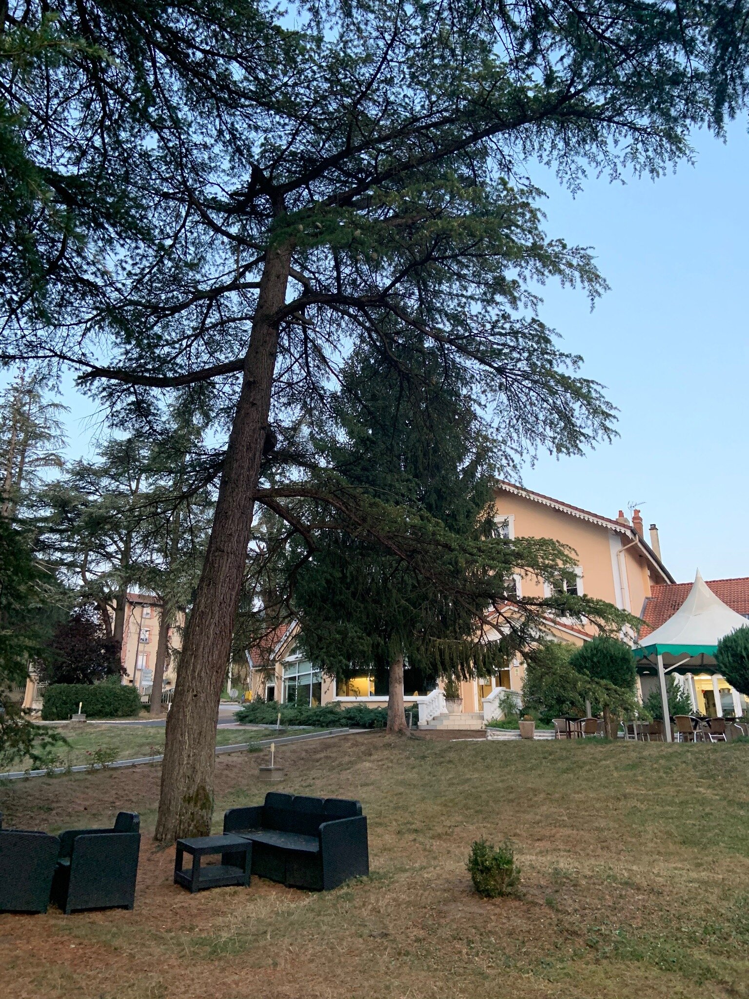 Logis Hôtel les Cèdres Bleus-官方