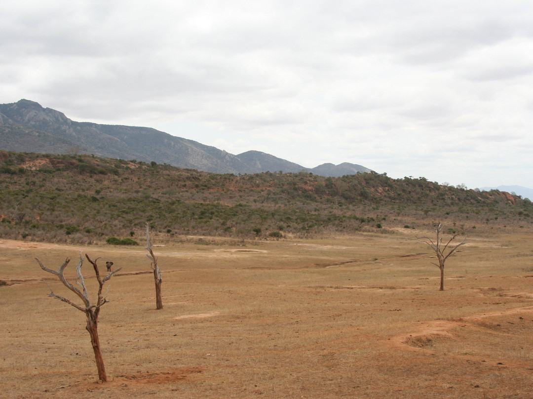 Ngulia Safari Lodge主图