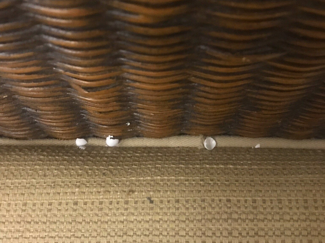 Bramston Beach Resort主图