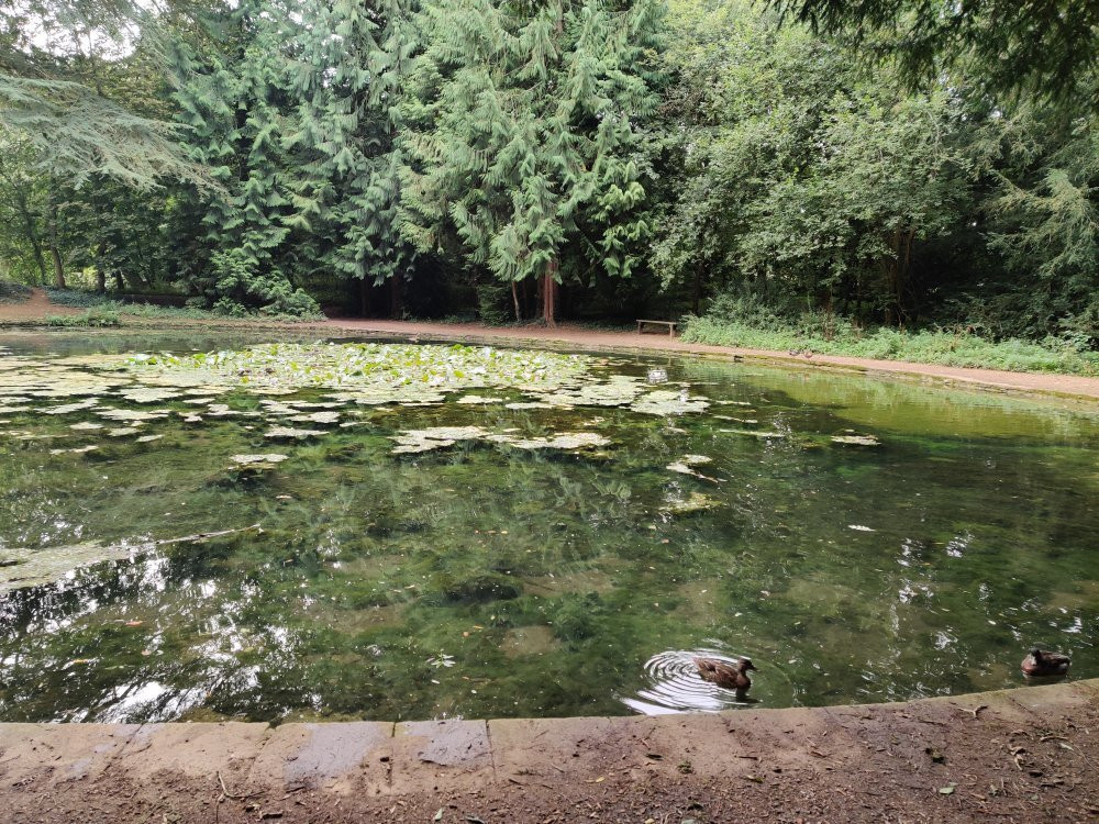 Wychwood Wild Garden景点图片