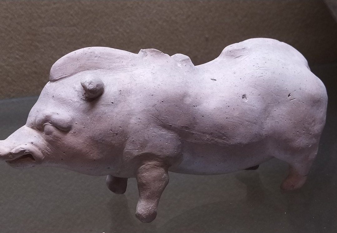 Museo Territoriale Del Lago Di Bolsena景点图片
