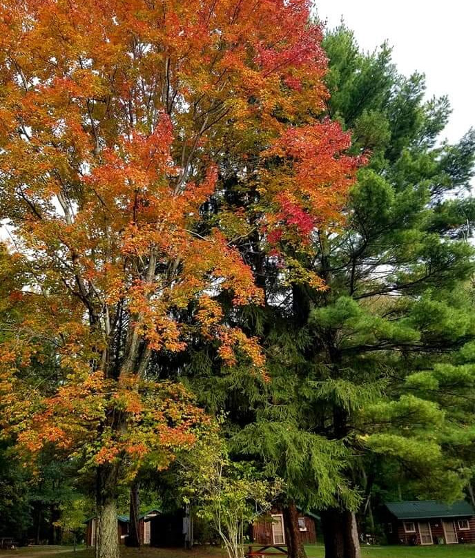 Free Soil旅游攻略图片