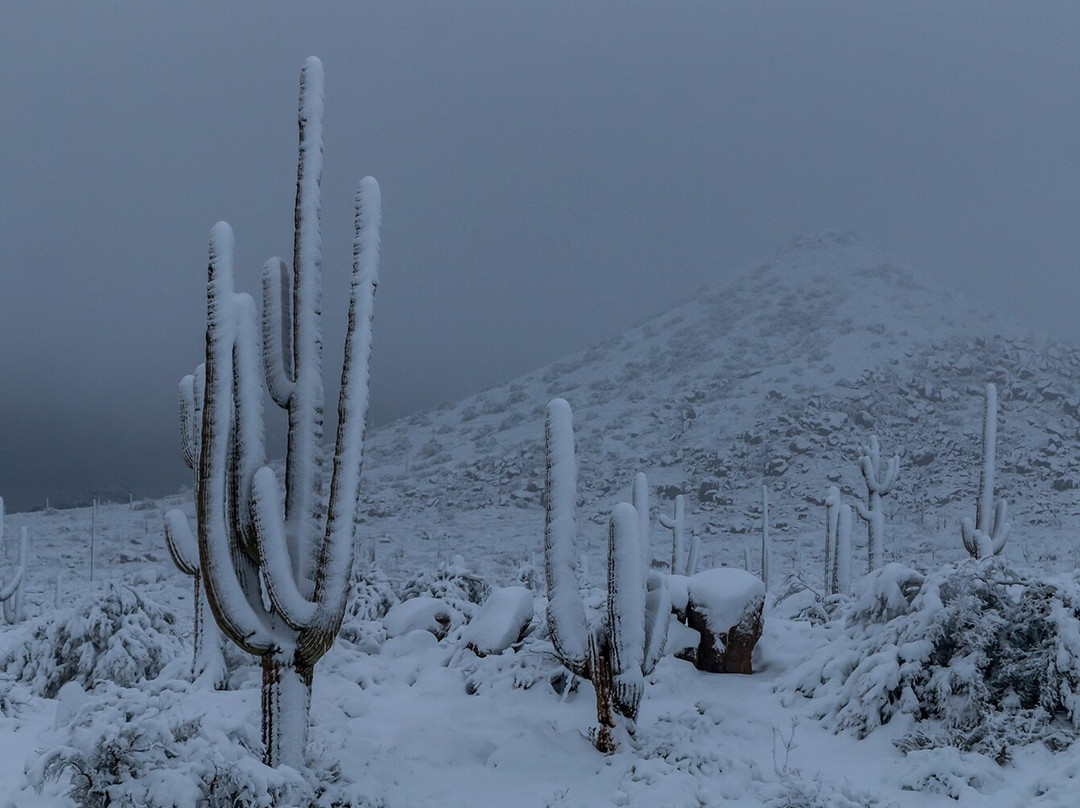 Brown's Ranch Trailhead-斯科茨代尔必去景点